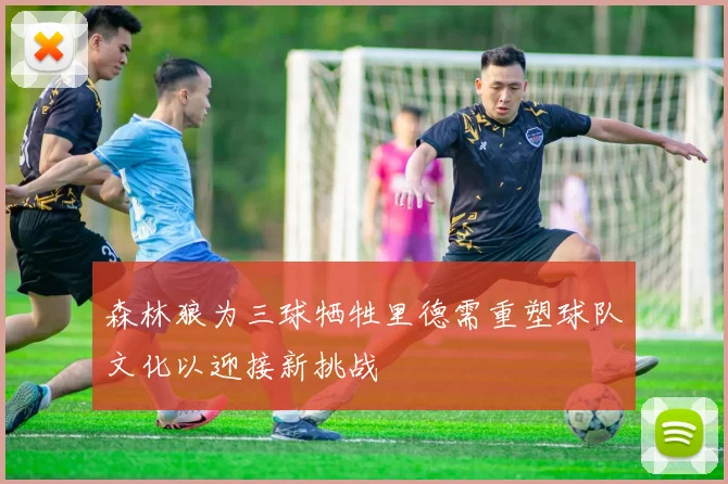 森林狼为三球牺牲里德需重塑球队文化以迎接新挑战