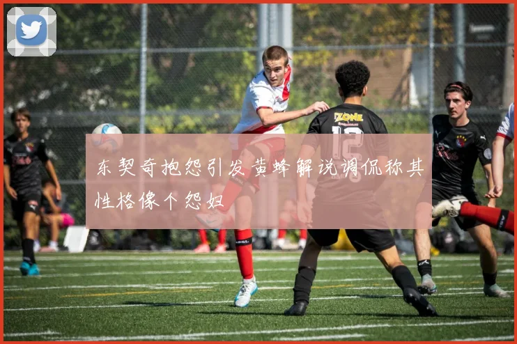 东契奇抱怨引发黄蜂解说调侃称其性格像个怨妇