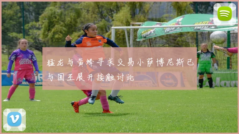 猛龙与黄蜂寻求交易小萨博尼斯已与国王展开接触讨论
